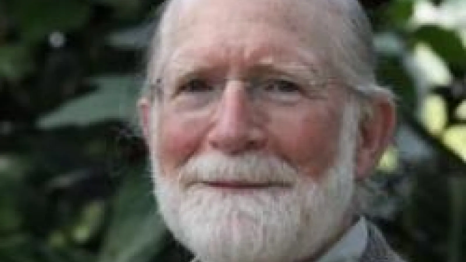 Dr. David Stetson