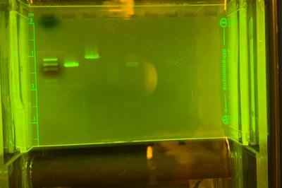 Gel electrophoresis showing DNA ladder and several DNA bands