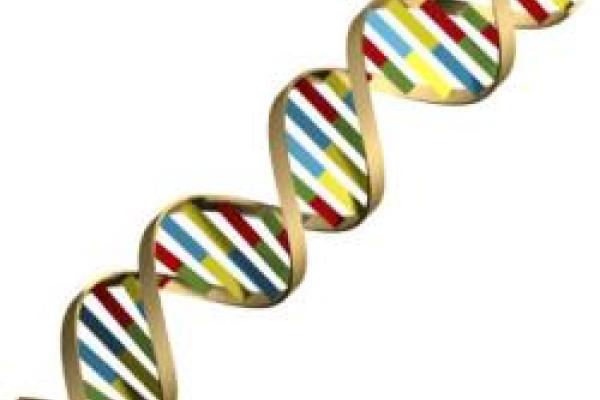 Fall 2013 Career Fair for Natural and Mathematical Sciences