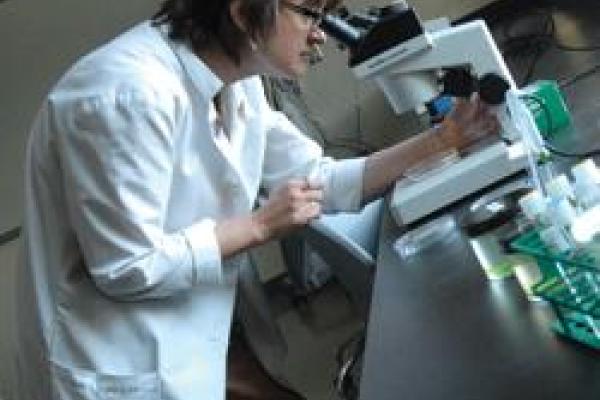 Researcher looking through a microscope